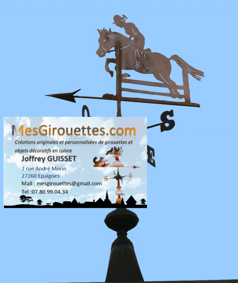 Girouette La cavaliere de saut d'obstacles